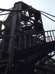 torre orangutanes